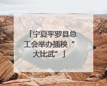 宁夏平罗县总工会举办插秧“大比武”