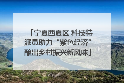 宁夏西夏区 科技特派员助力“紫色经济”酿出乡村振兴新风味