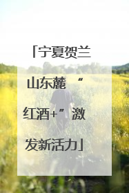 宁夏贺兰山东麓 “红酒+”激发新活力
