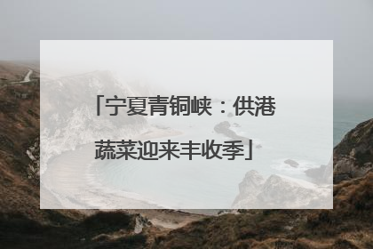 宁夏青铜峡：供港蔬菜迎来丰收季