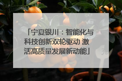 宁夏银川：智能化与科技创新双轮驱动 激活高质量发展新动能