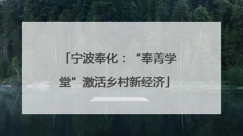 宁波奉化：“奉菁学堂”激活乡村新经济