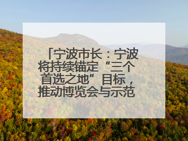 宁波市长：宁波将持续锚定“三个首选之地”目标，推动博览会与示范区互促共进