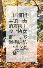 宁阳华丰镇：奏响夏粮丰收“协奏曲”，多举措护航“金色粮仓”