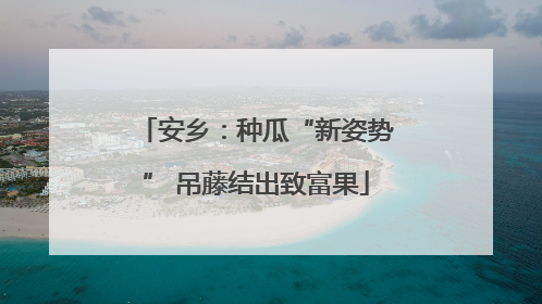 安乡：种瓜“新姿势” 吊藤结出致富果