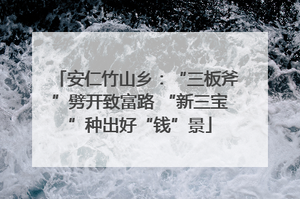 安仁竹山乡：“三板斧”劈开致富路 “新三宝”种出好“钱”景
