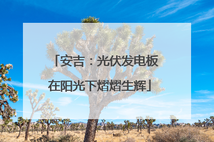 安吉：光伏发电板在阳光下熠熠生辉