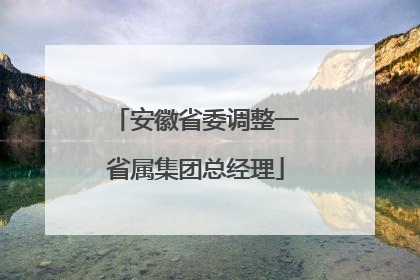 安徽省委调整一省属集团总经理