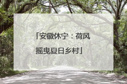 安徽休宁：荷风摇曳夏日乡村