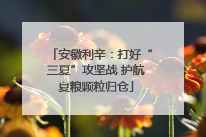 安徽利辛：打好“三夏”攻坚战 护航夏粮颗粒归仓
