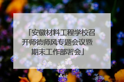 安徽材料工程学校召开师德师风专题会议暨期末工作部署会