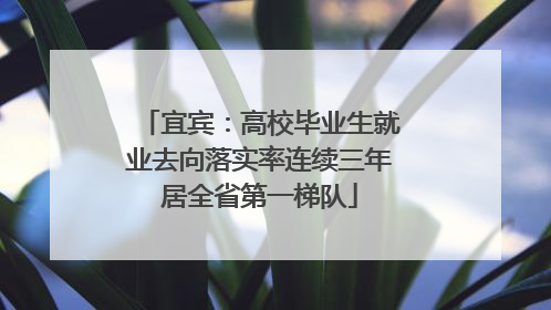 宜宾：高校毕业生就业去向落实率连续三年居全省第一梯队