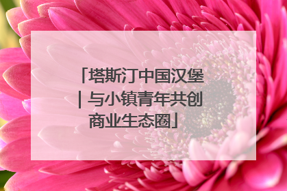 塔斯汀中国汉堡｜与小镇青年共创商业生态圈