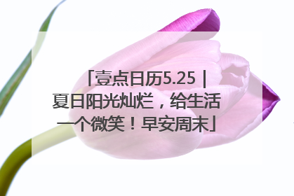 壹点日历5.25｜夏日阳光灿烂，给生活一个微笑！早安周末