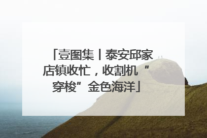 壹图集丨泰安邱家店镇收忙，收割机“穿梭”金色海洋