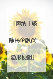 声纳丨破除民企融资隐形梗阻