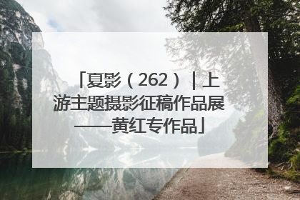 夏影（262）｜上游主题摄影征稿作品展——黄红专作品