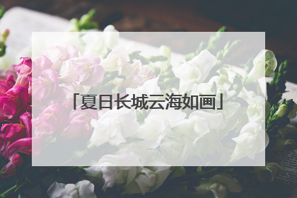 夏日长城云海如画