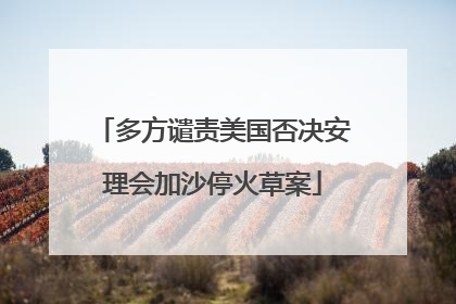 多方谴责美国否决安理会加沙停火草案