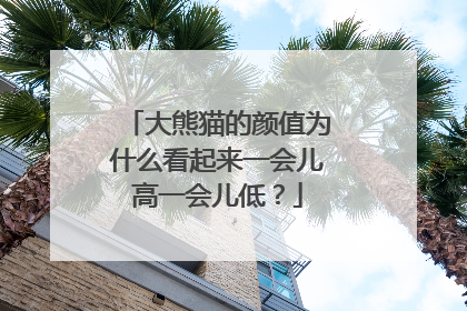 大熊猫的颜值为什么看起来一会儿高一会儿低？