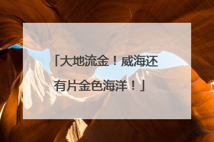 大地流金！威海还有片金色海洋！
