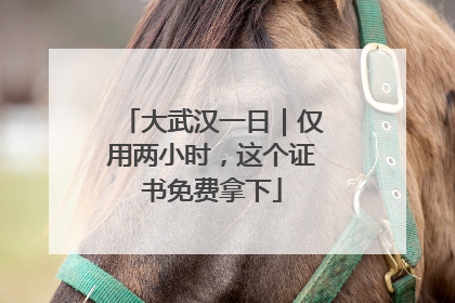 大武汉一日｜仅用两小时，这个证书免费拿下