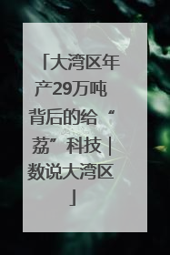 大湾区年产29万吨背后的给“荔”科技｜数说大湾区