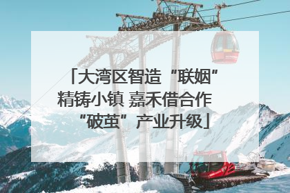 大湾区智造“联姻”精铸小镇 嘉禾借合作“破茧”产业升级