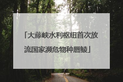 大藤峡水利枢纽首次放流国家濒危物种唇鲮