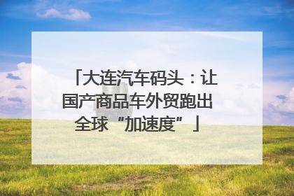 大连汽车码头：让国产商品车外贸跑出全球“加速度”