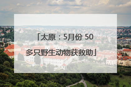 太原：5月份 50多只野生动物获救助