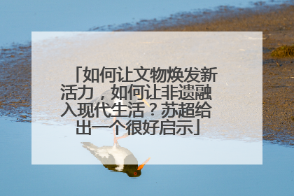 如何让文物焕发新活力，如何让非遗融入现代生活？苏超给出一个很好启示