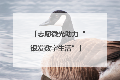 志愿微光助力“银发数字生活”