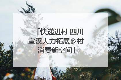 快递进村 四川宣汉大力拓展乡村消费新空间