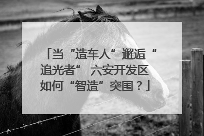 当“造车人”邂逅“追光者” 六安开发区如何“智造”突围？