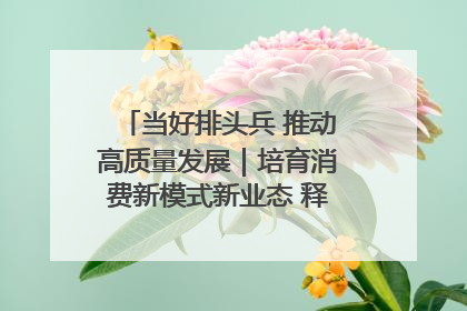 当好排头兵 推动高质量发展｜培育消费新模式新业态 释放经济增长新动能