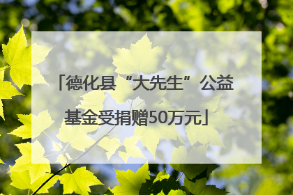 德化县“大先生”公益基金受捐赠50万元