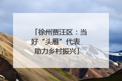 徐州贾汪区：当好“头雁”代表 助力乡村振兴