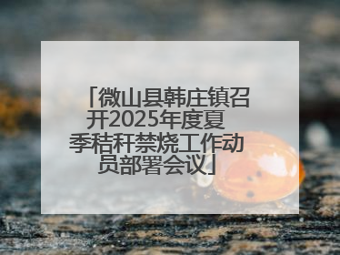 微山县韩庄镇召开2025年度夏季秸秆禁烧工作动员部署会议