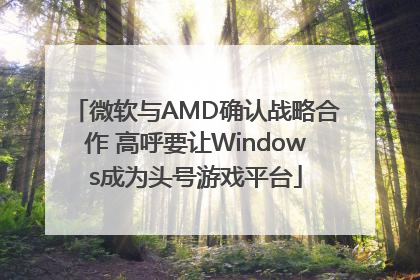 微软与AMD确认战略合作 高呼要让Windows成为头号游戏平台
