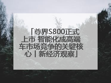 尊界S800正式上市 智能化成高端车市场竞争的关键核心丨新经济观察