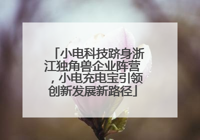 小电科技跻身浙江独角兽企业阵营，小电充电宝引领创新发展新路径
