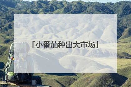 小番茄种出大市场