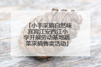 小手采摘自然味 宜宾江安西江小学开展劳动基地蔬菜采摘售卖活动