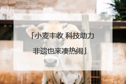 小麦丰收 科技助力 非遗也来凑热闹