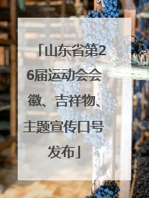 山东省第26届运动会会徽、吉祥物、主题宣传口号发布