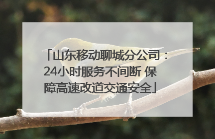 山东移动聊城分公司：24小时服务不间断 保障高速改道交通安全