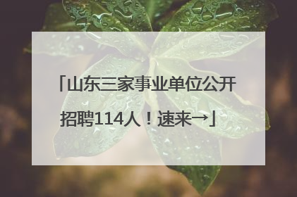 山东三家事业单位公开招聘114人！速来→
