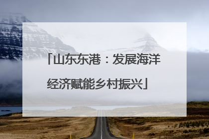 山东东港：发展海洋经济赋能乡村振兴