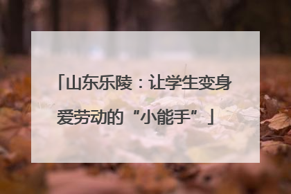 山东乐陵：让学生变身爱劳动的“小能手”